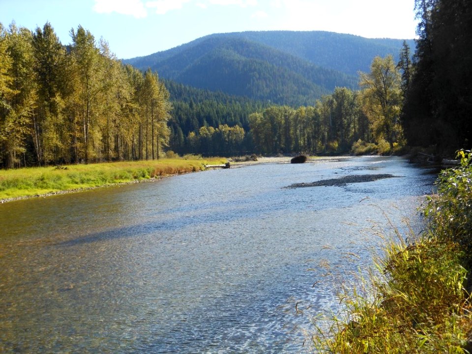The North Fork of the Coeur D'Alene River (25571221527)