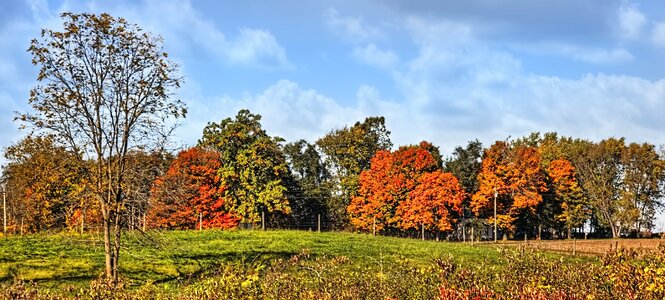 Landscape rural nature photo