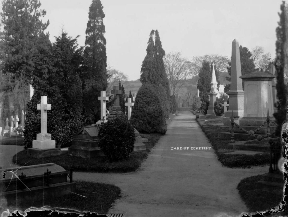 The Old Cemetery,Cardiff (4641338)