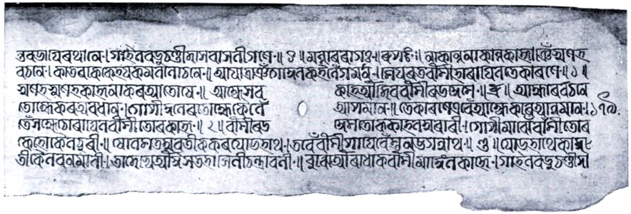 The Origin of the Bengali Script Plate 8