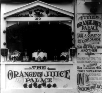 The Orange Juice Palace LCCN2002718645 (cropped)