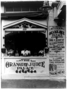 The Orange Juice Palace LCCN2002718645