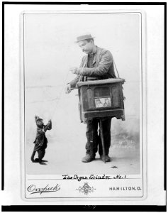 The organ grinder - Overspeck, Hamilton, O. LCCN96502474