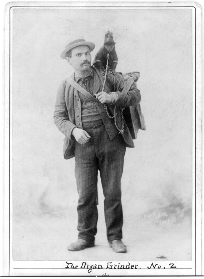 The organ grinder LCCN2003671160