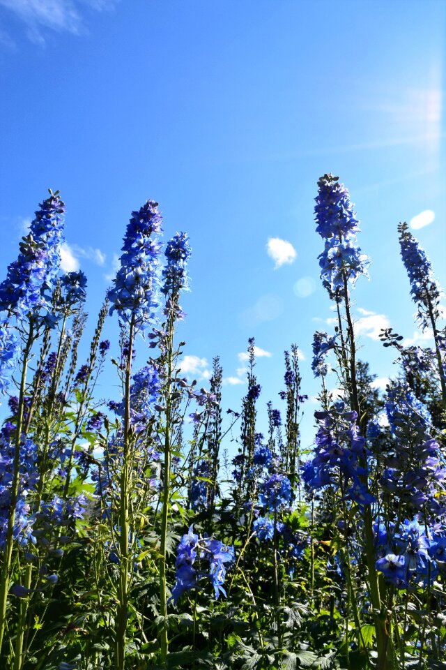 Blue white cloud