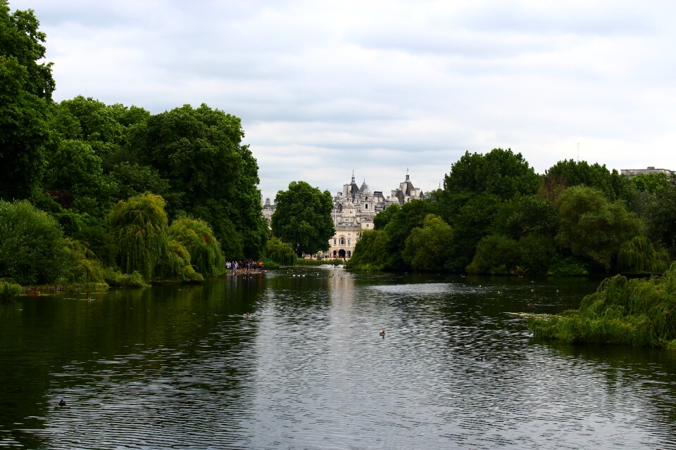 Tree palace landscape