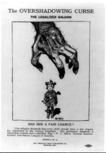 The Overshadowing Curse - The Legalized Saloon LCCN2006685723
