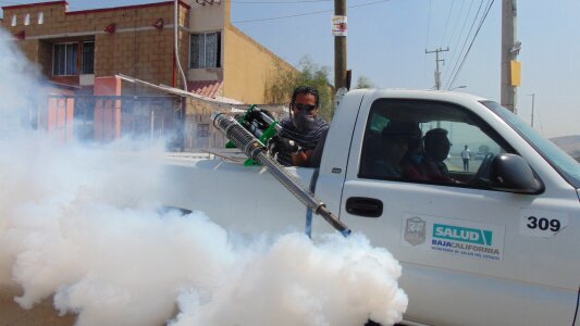 Insect insecticide mosquito
