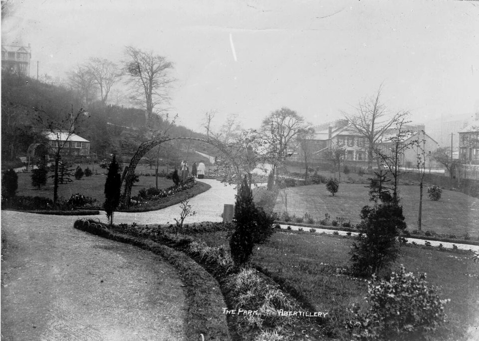 The Park, Abertillery (4641544)