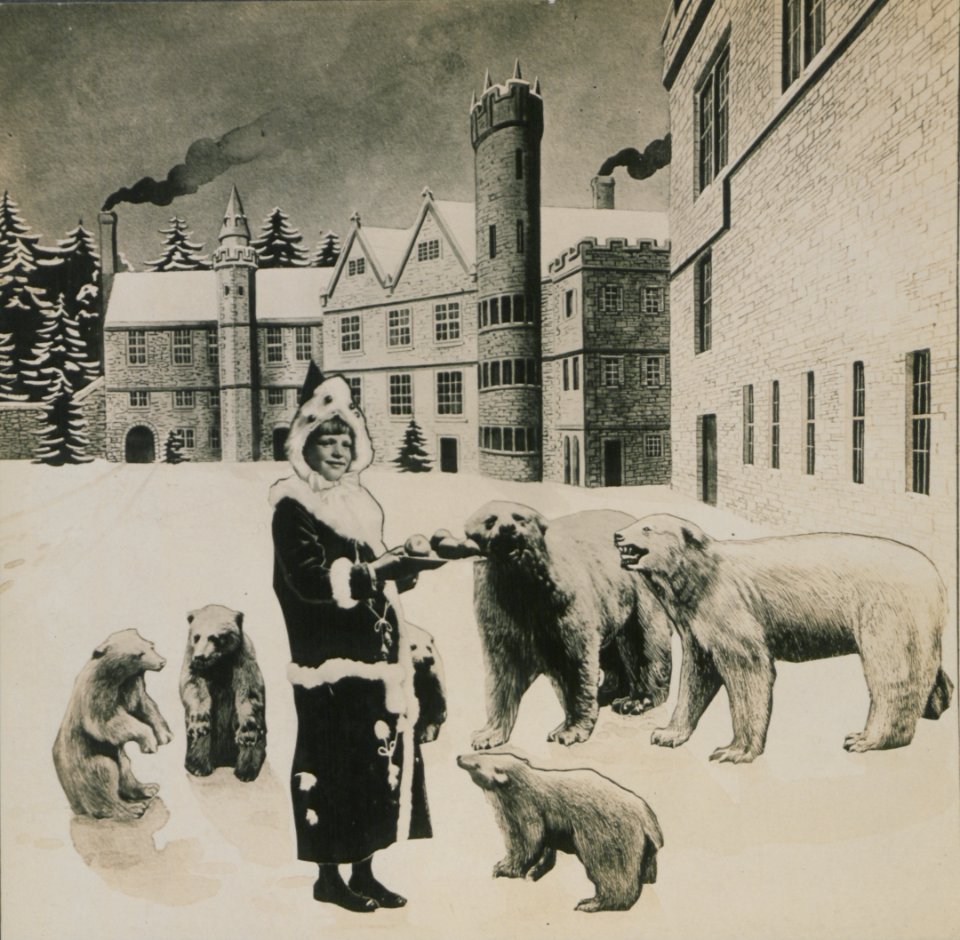 The palace bears (HS85-10-32292)