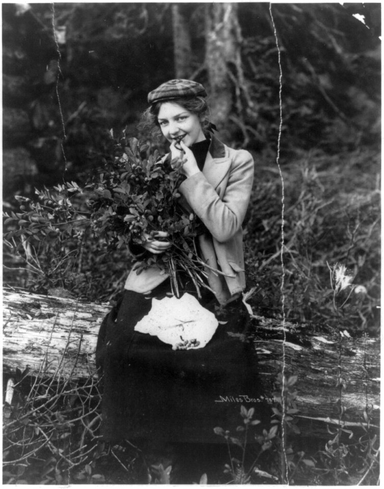 The picnic girl out for a day in the woods near Valdez, Alaska, enjoying a feast of blueberries LCCN2002716008