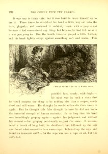 The Prince and The Pauper, p. 232