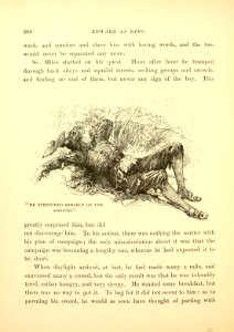 The Prince and The Pauper, p. 386