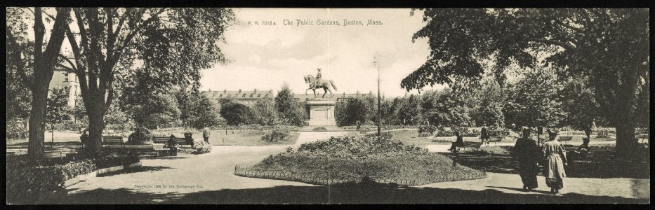 The public gardens, Boston, Mass. LCCN2013647071