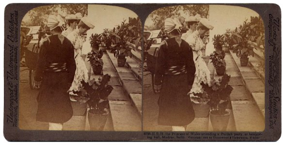The Princess of Wales attending a Purdah Party at banqueting hall, Madras in 1905-06