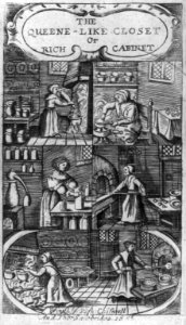 The queene-like closet or rich cabinet LCCN2002705909