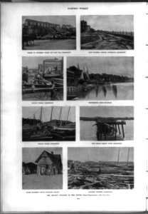 The recent cyclone in the South LCCN2002709533