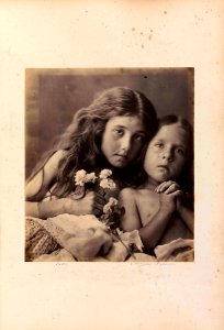 The Red and White Roses by Julia Margaret Cameron