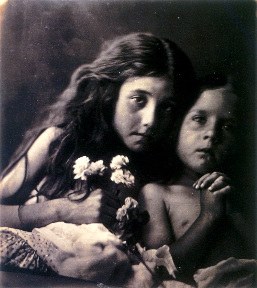 The Red and White Roses, by Julia Margaret Cameron