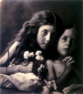 The Red and White Roses, by Julia Margaret Cameron