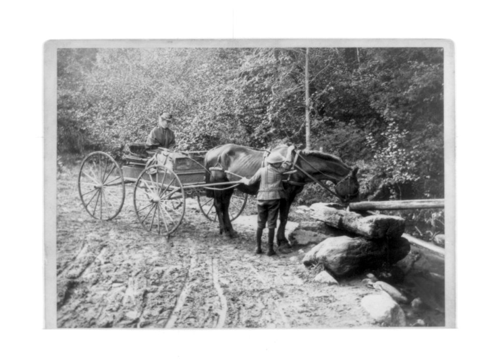 The Roadside Watering Trough LCCN2002717022