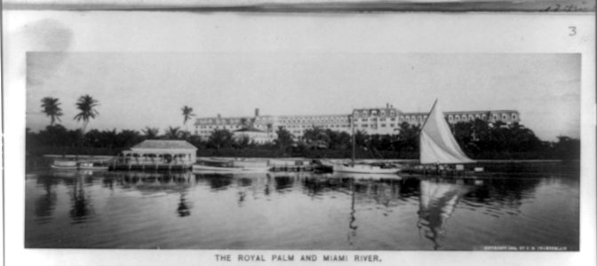 The Royal Palm and Miami River LCCN90705762