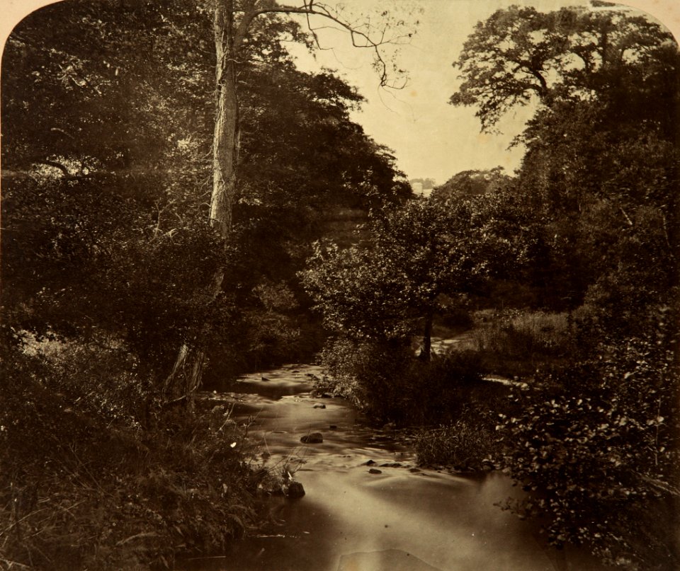 The River Selue by Philip Henry Delamotte