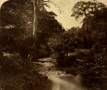 The River Selue by Philip Henry Delamotte