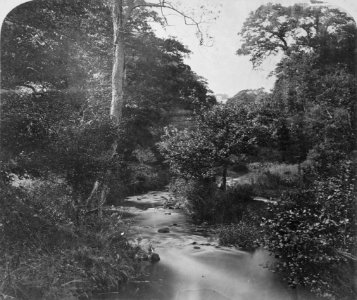 The River Selue by Philip Henry Delamotte
