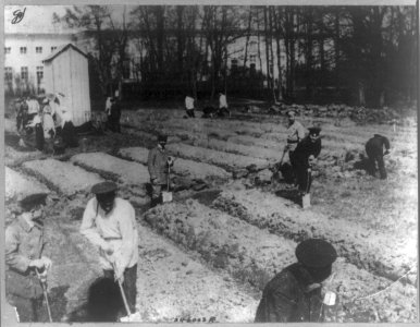 The Romanovs working in the garden at Tsarskoe Selo, Russia, 1917 LCCN2007683270