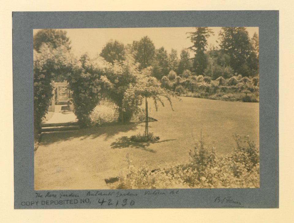 The Rose Garden, Butcharts Gardens, Victoria (HS85-10-42130) original