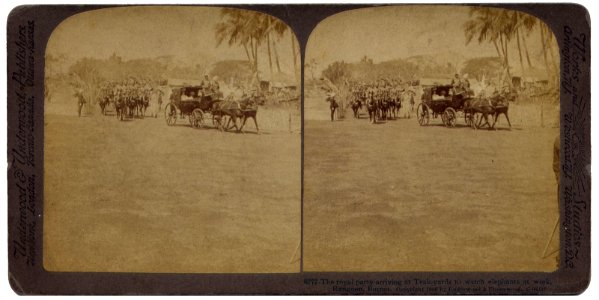 The royal party arriving at Teak-yards to watch elephants at work, Rangoon in 1905-06