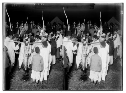The Samaritan Passover on Mt. Gerizim. Preparing the carcass. LOC matpc.01857