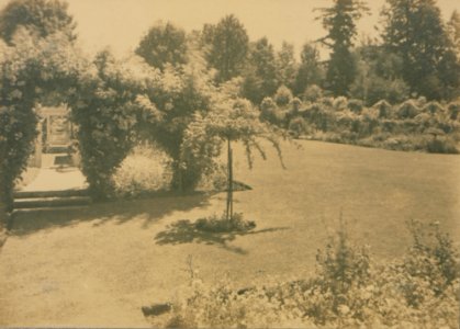 The Rose Garden, Butcharts Gardens, Victoria (HS85-10-42130)
