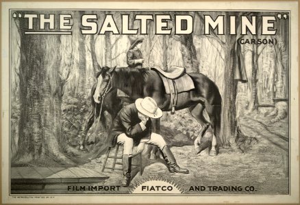 The Salted mine (Carson) LCCN2007676111