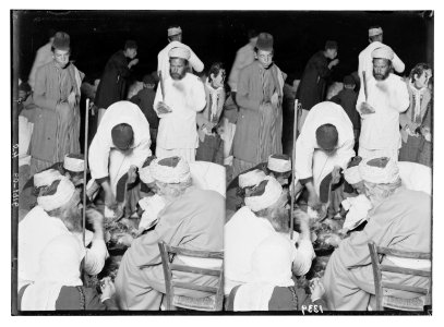 The Samaritan Passover on Mt. Gerizim. The high priest and his family eating the sacrifice. LOC matpc.01860