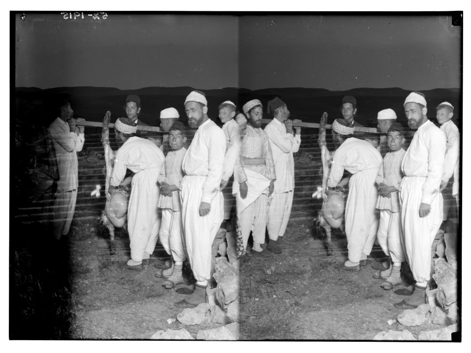 The Samaritan Passover on Mt. Gerizim. Preparing the carcass. LOC matpc.01856