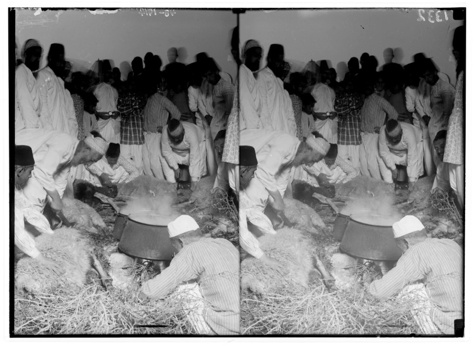 The Samaritan Passover on Mt. Gerizim. The sacrifice. LOC matpc.01853