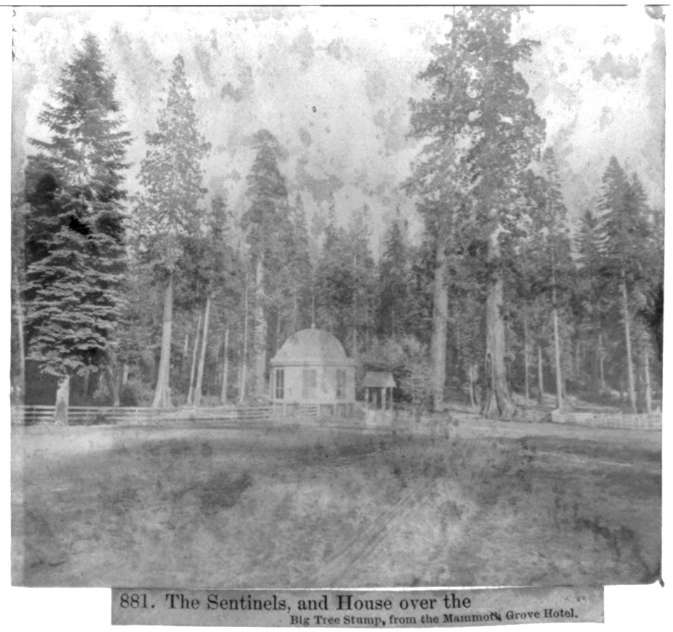 The Sentinels, and House over the Big Tree Stump, from the Mammoth Grove Hotel LCCN2002723096