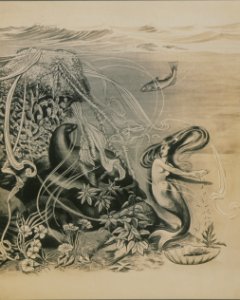 The sea lion's home (HS85-10-32289)