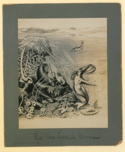 The sea lion's home (HS85-10-32289) original