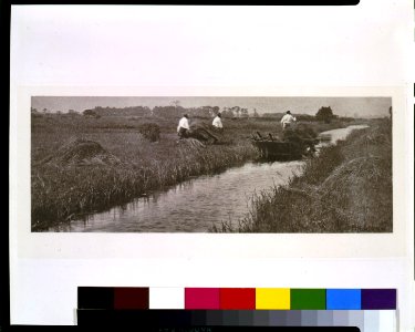 The sedge harvest - P.H. Emerson. LCCN93500128