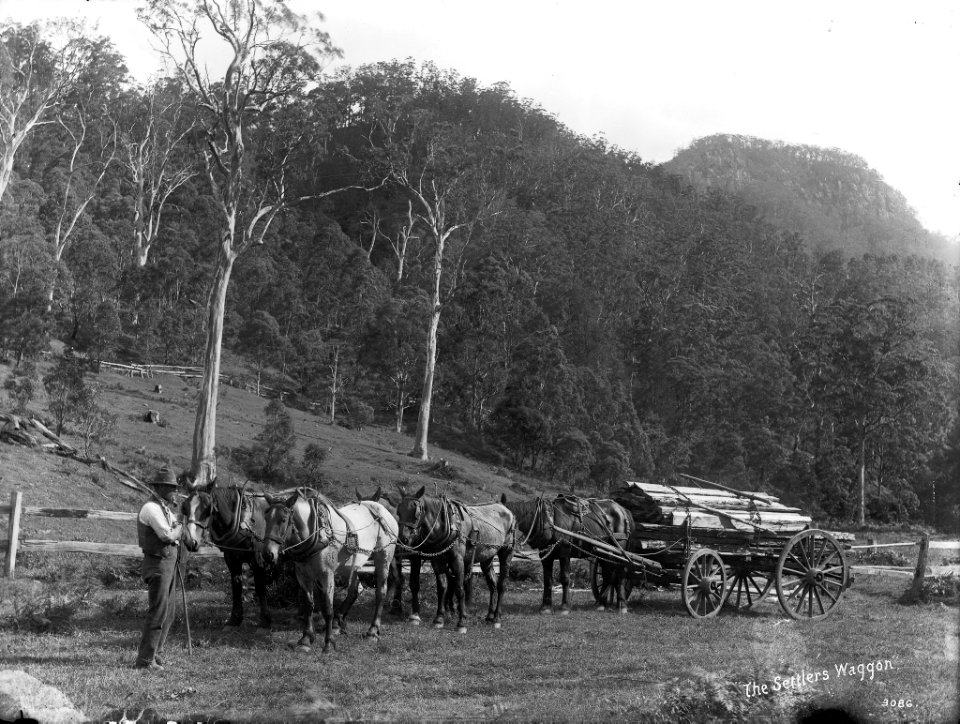 The settlers wagon from The Powerhouse Museum Collection