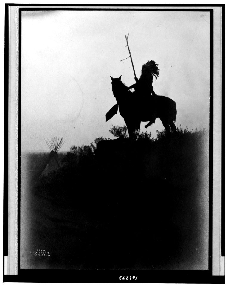 The Sentinel LCCN90710583