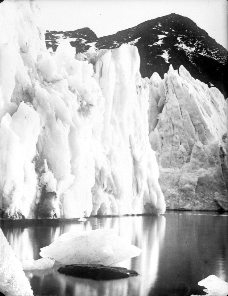 The snout of Hamberg Glacier, Moraine Fjord, South Georgia RMG P00006