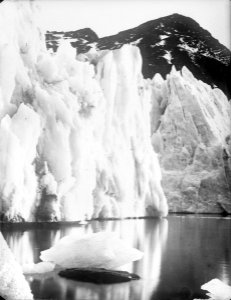 The snout of Hamberg Glacier, Moraine Fjord, South Georgia RMG P00006