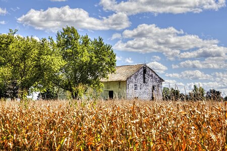 Ohio digital art rural