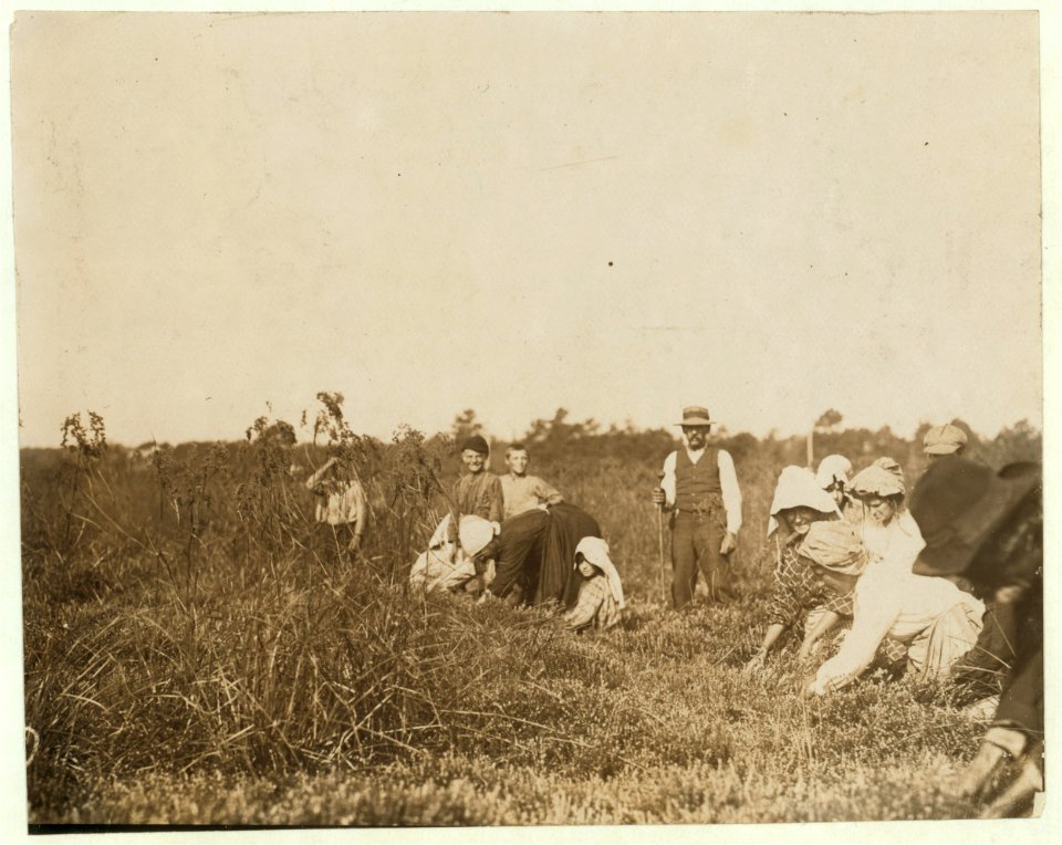 The smallest girl is Josephine Ramie, 10 years old, Maniyunk, Pa. (Near Philadelphia). Padrone stands over them, urging them, urging them and often swearing at and threatening them. Theodore LOC nclc.05289