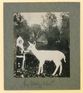The snap shot (HS85-10-32287) original