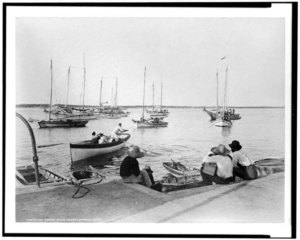 The sponge fleet, Nassau, Bahama Isl'ds LCCN95507260